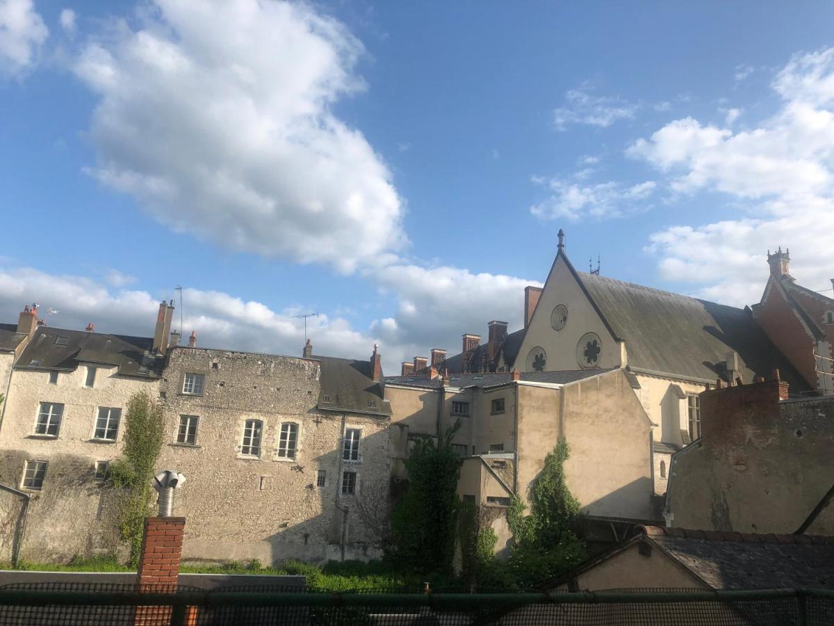 Cote Chateau - Grand Appartement Au Coeur De Blois Eksteriør billede