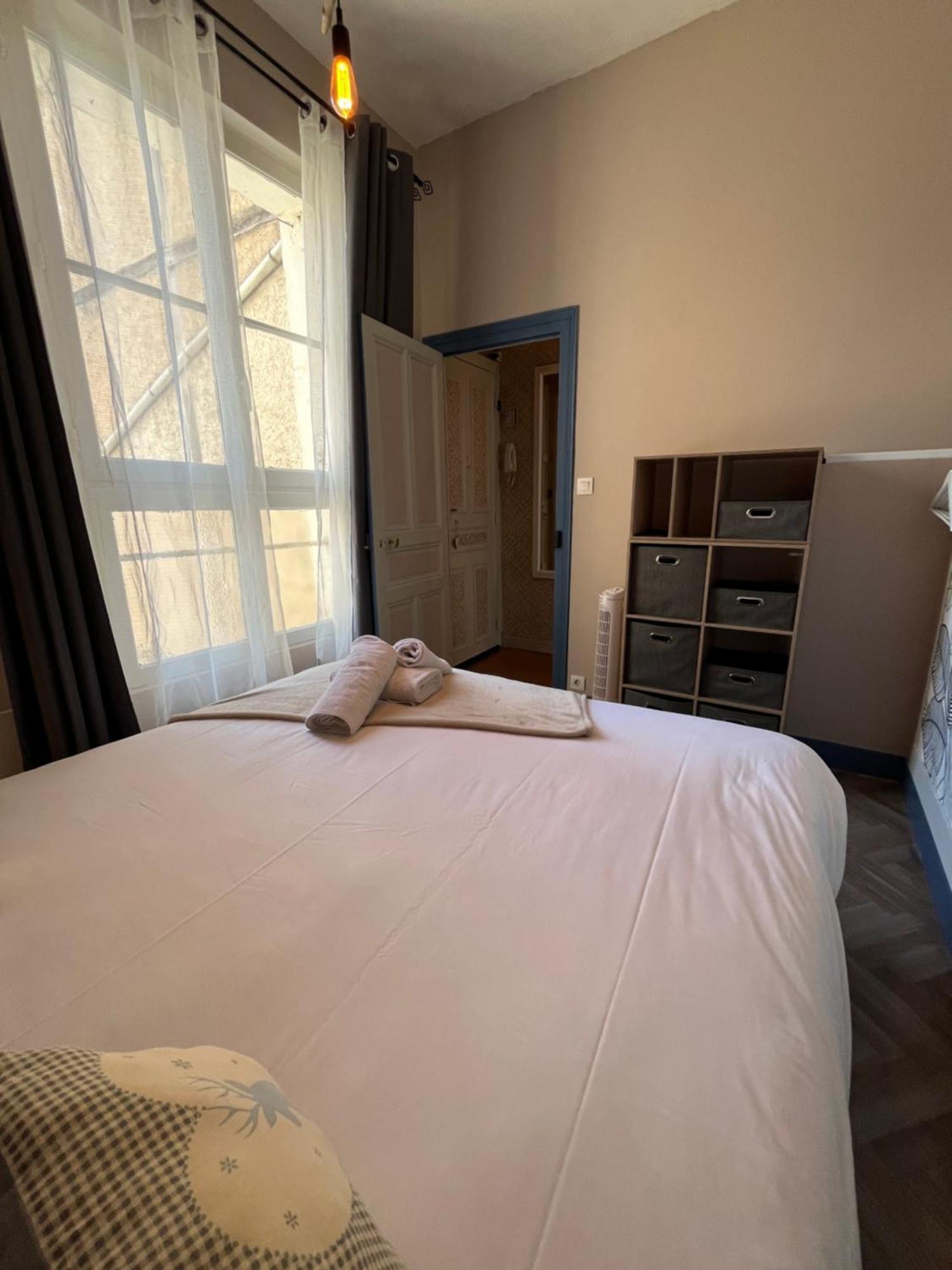 Cote Chateau - Grand Appartement Au Coeur De Blois Eksteriør billede