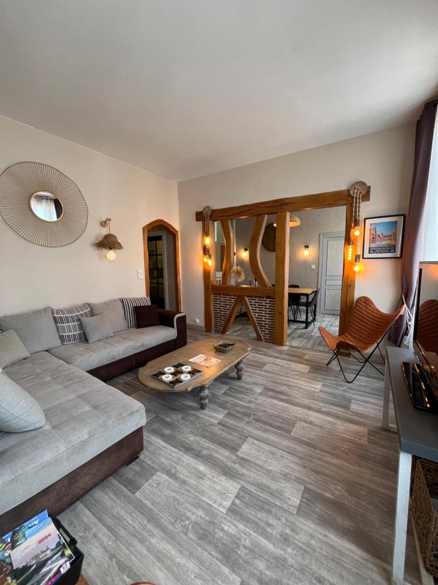Cote Chateau - Grand Appartement Au Coeur De Blois Eksteriør billede